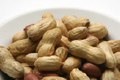 Canned Boiled Peanuts: A Tasty Southern Snack Made Easy
