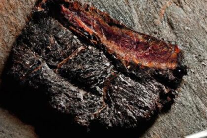 Mastering the Flame: Your Ultimate Steak Cooking Chart Guide