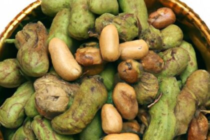 Green Peanuts for Boiling: Fresh Flavor from Farm to Pot